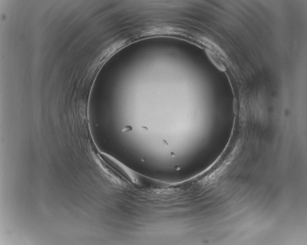 X0000069390849200605150941