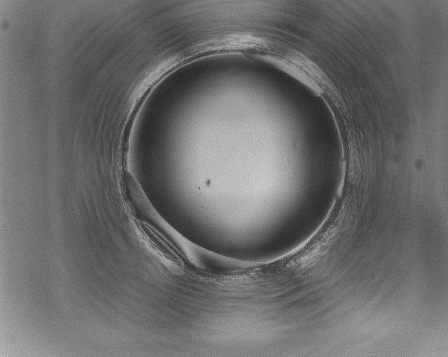 X0000069390850200605150941