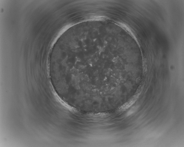 X0000069390851200605150941