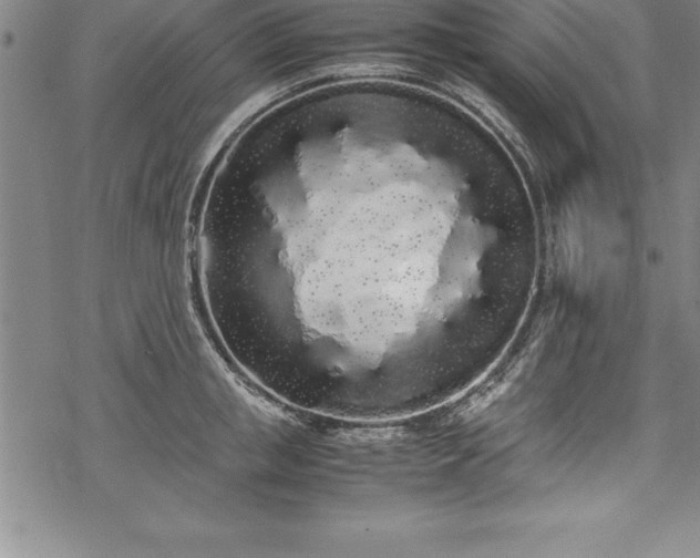 X0000069390853200605150941