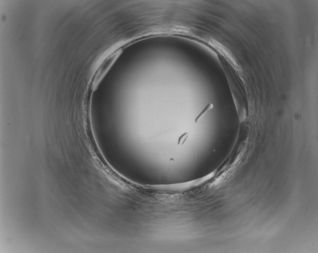 X0000069390854200605150941