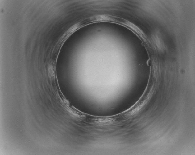 X0000069390857200605150941