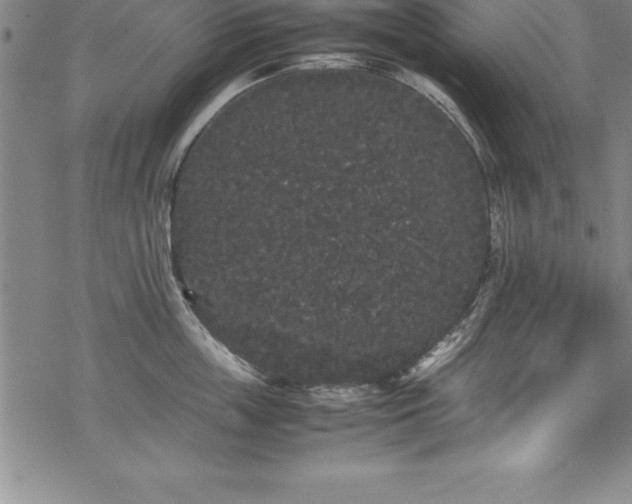 X0000069390859200605150941