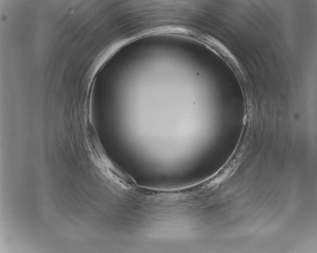 X0000069390860200605150941