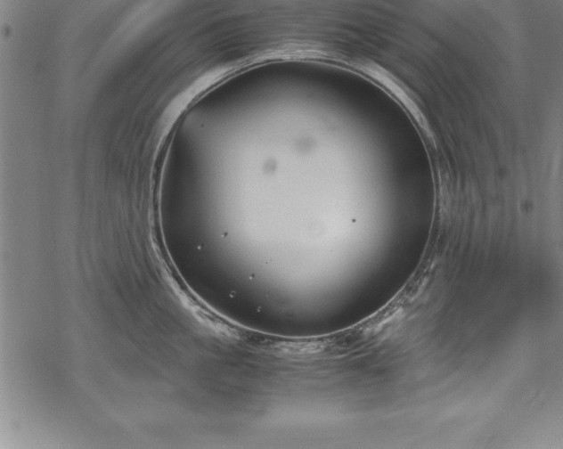 X0000069390861200605150941