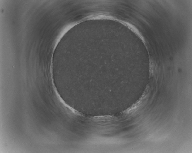 X0000069390863200605150941