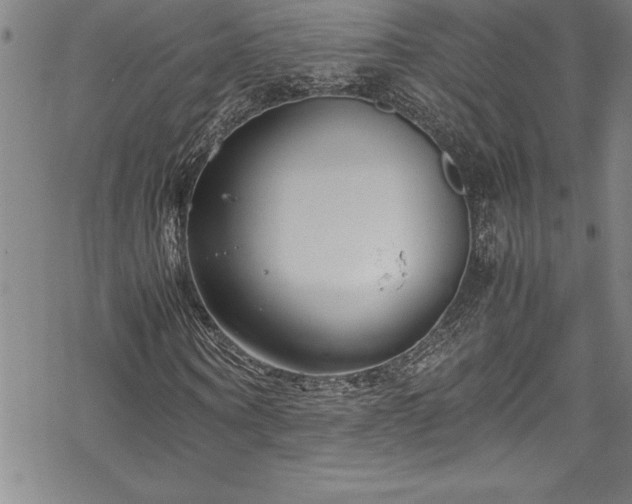 X0000069390866200605150941