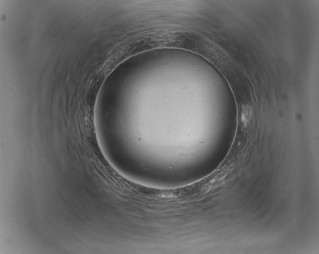 X0000069390867200605150941