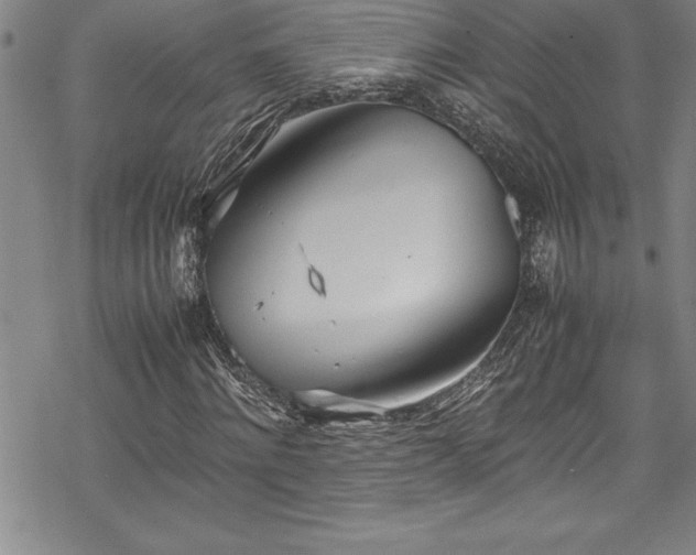 X0000069390868200605150940