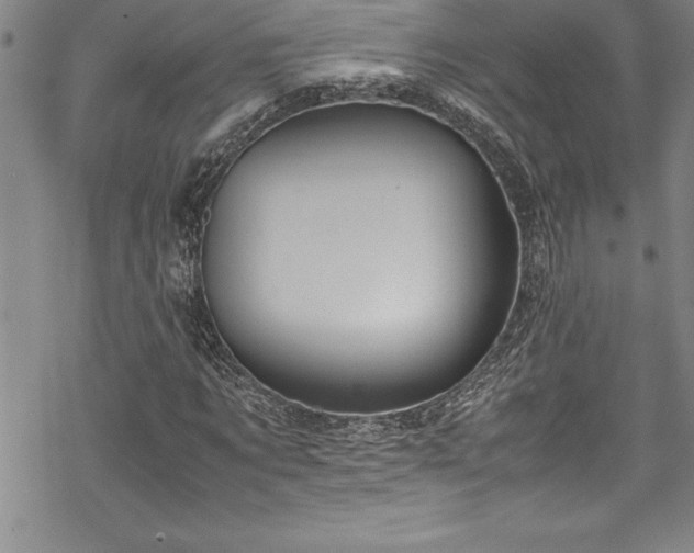 X0000069390869200605150940