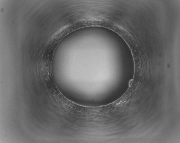 X0000069390870200605150940