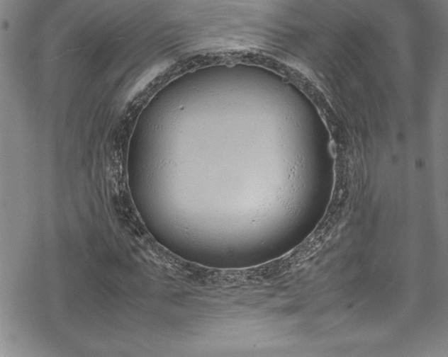 X0000069390871200605150940