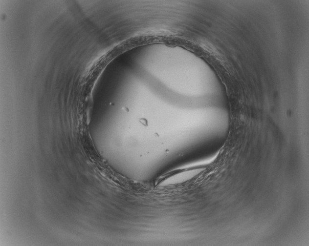 X0000069390872200605150940