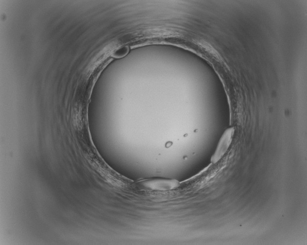 X0000069390873200605150940