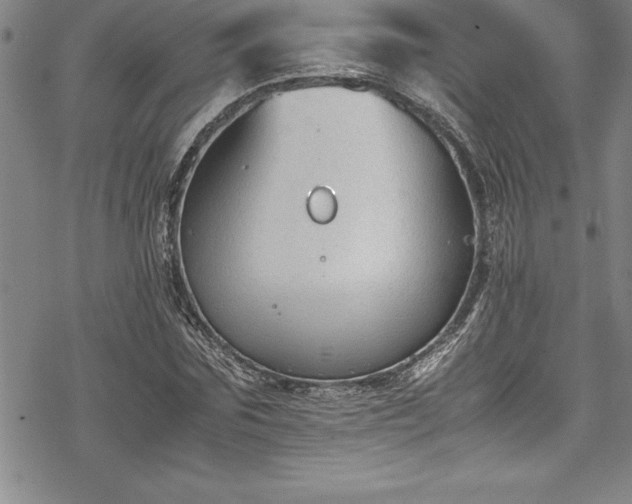 X0000069390875200605150940