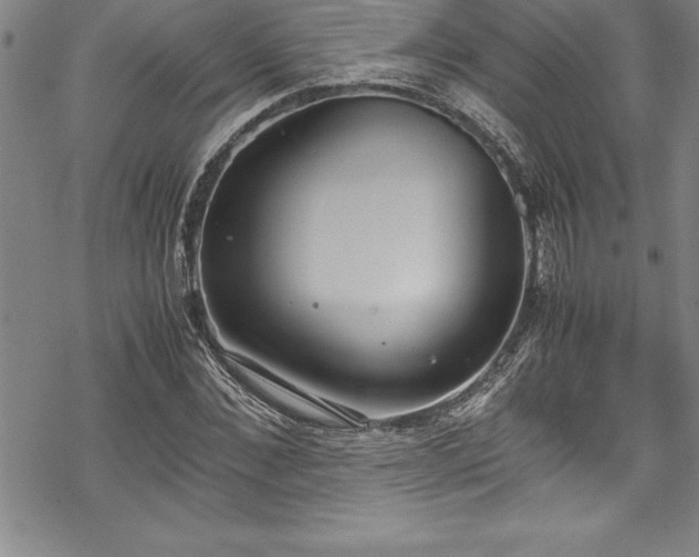 X0000069390876200605150940