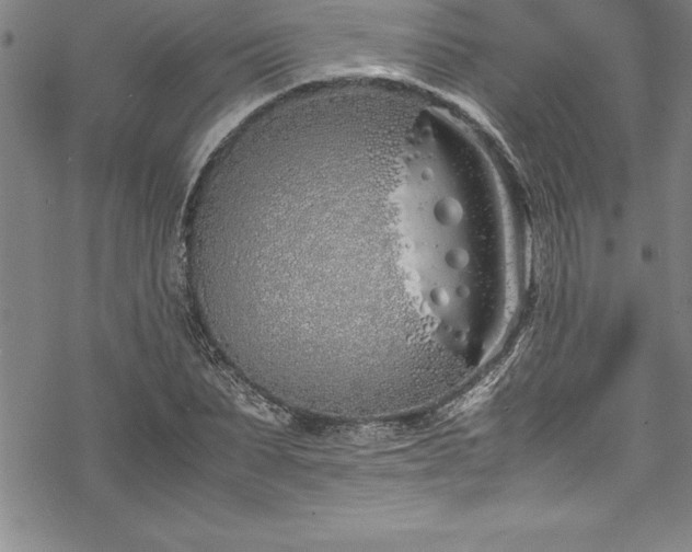 X0000069390879200605150940