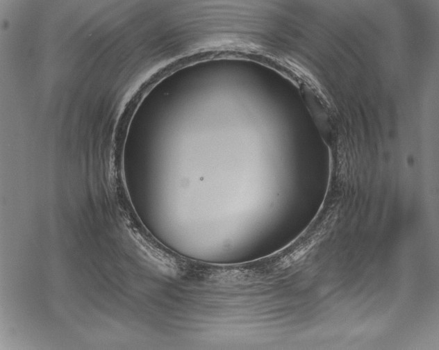 X0000069390880200605150940