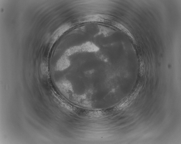 X0000069390882200605150940