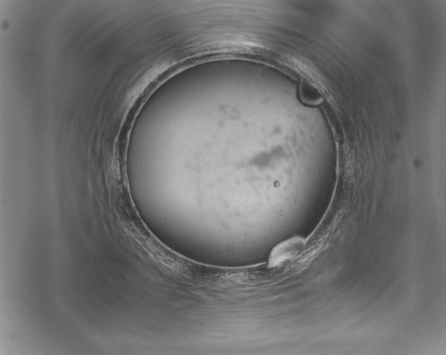 X0000069390883200605150940