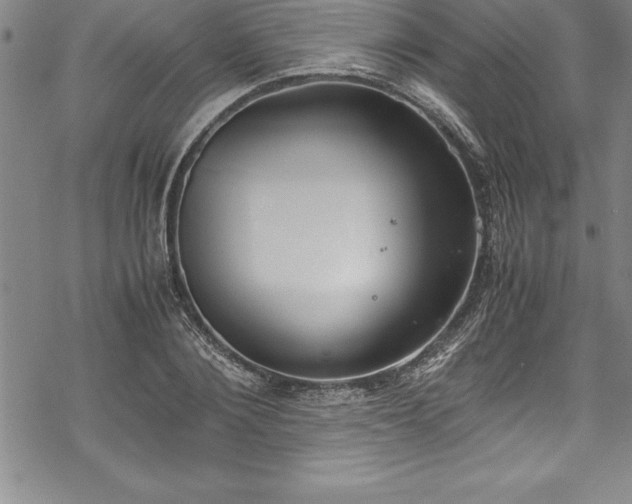 X0000069390884200605150940