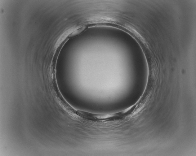 X0000069390885200605150940