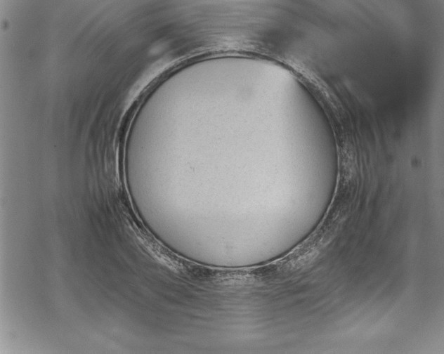 X0000069390886200605150940