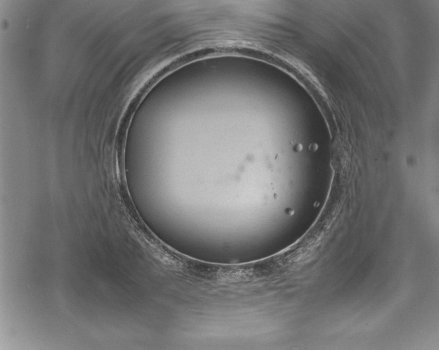 X0000069390887200605150940