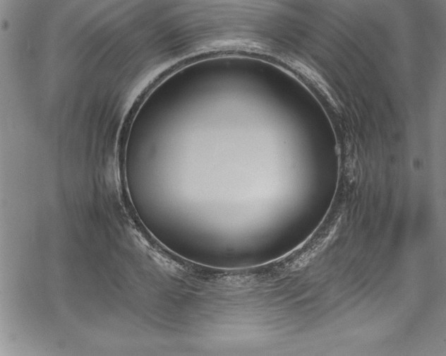 X0000069390888200605150940