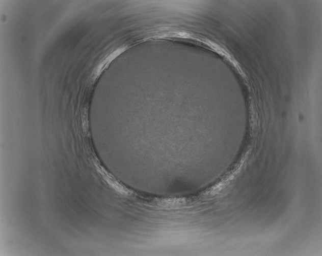 X0000069390889200605150940