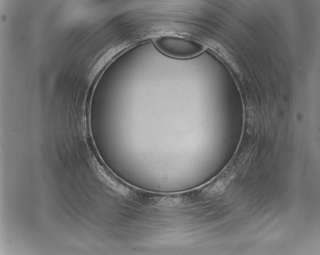 X0000069390890200605150940