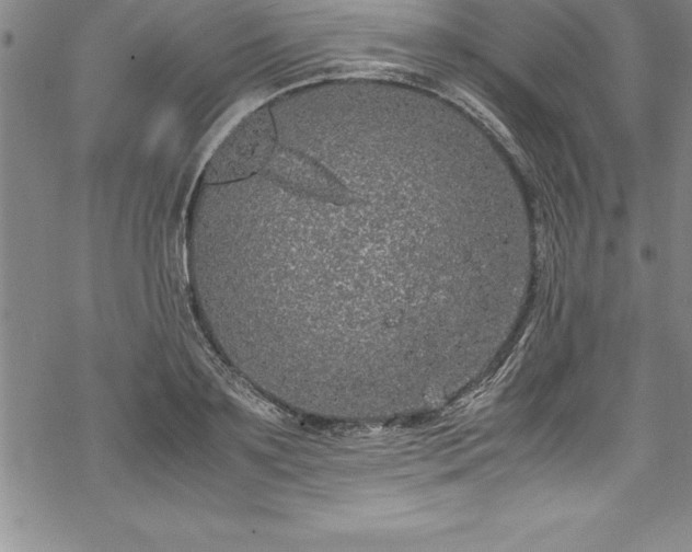 X0000069390891200605150940