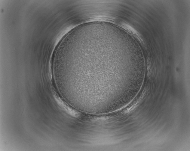 X0000069390892200605150940