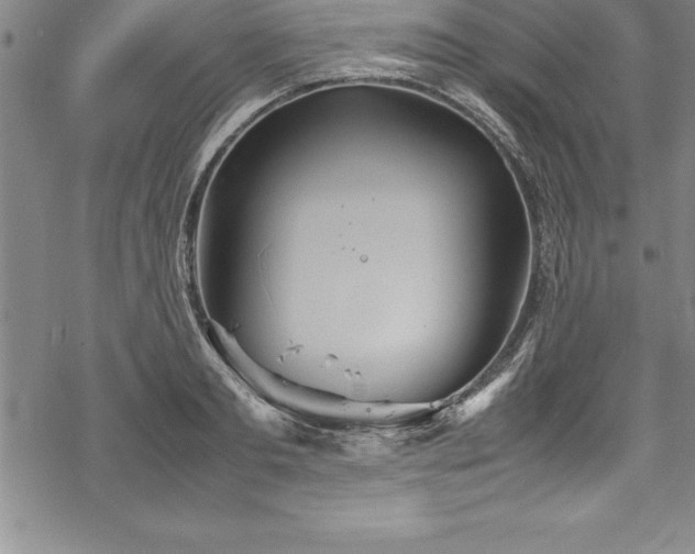 X0000069390893200605150940