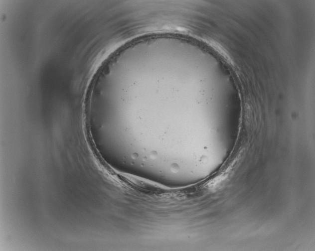 X0000069390895200605150940