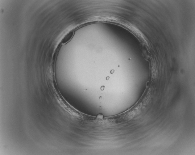 X0000069390896200605150940