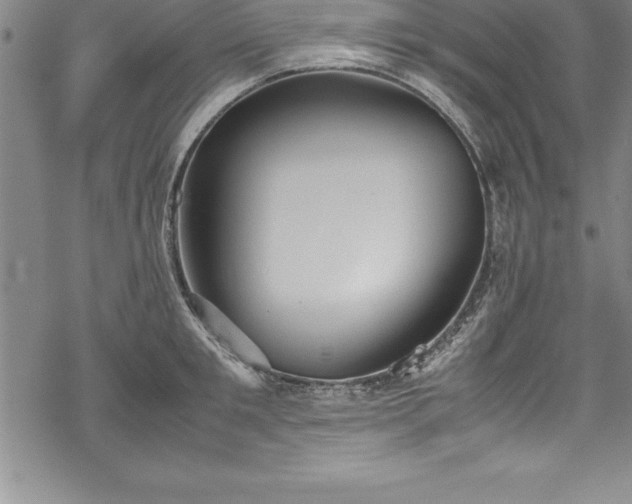 X0000069390901200605150940