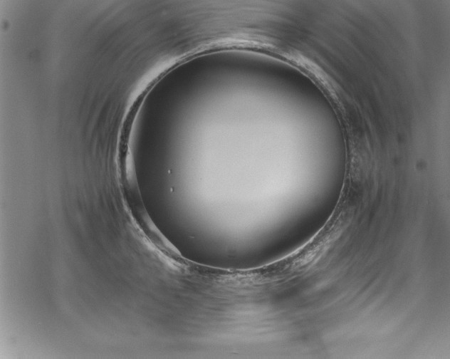 X0000069390902200605150940