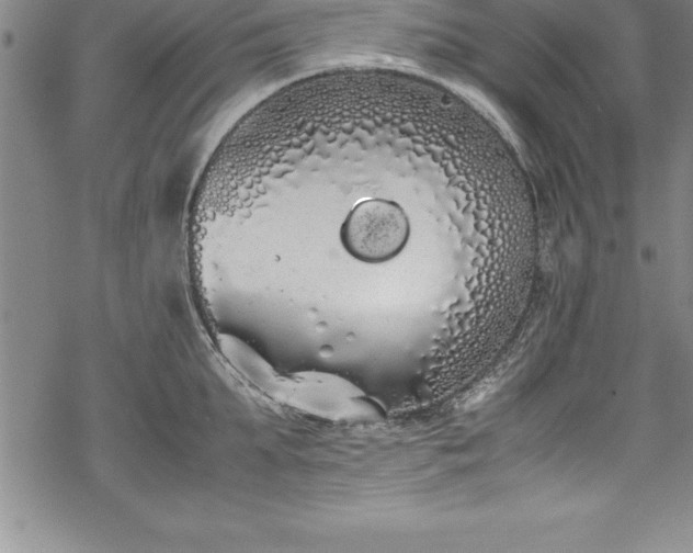 X0000069390903200605150940