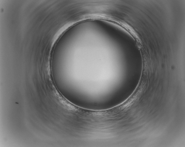 X0000069390904200605150940