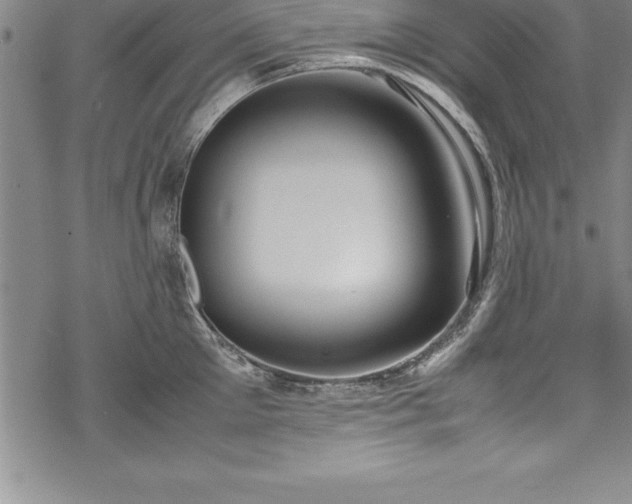 X0000069390905200605150940