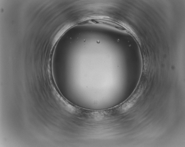 X0000069390906200605150940