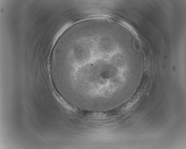 X0000069390907200605150940