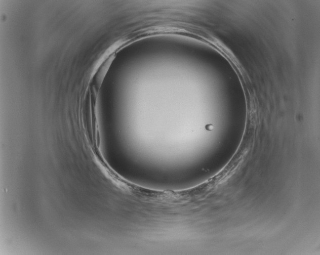 X0000069390909200605150940