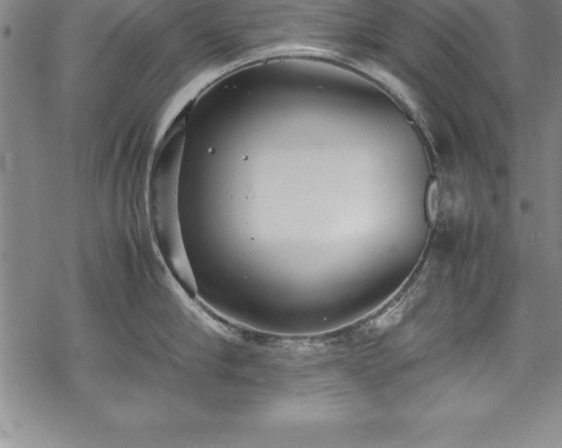 X0000069390910200605150940