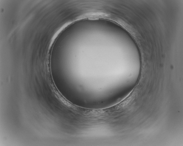 X0000069390912200605150940