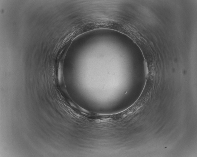 X0000069390916200605150939