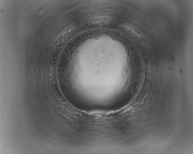 X0000069390917200605150939