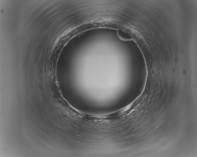 X0000069390920200605150939