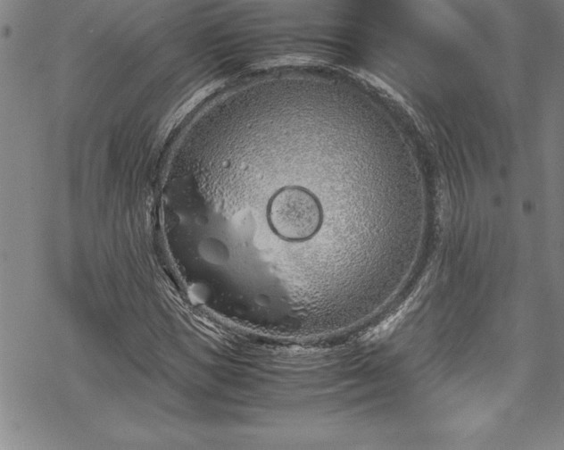 X0000069390921200605150939